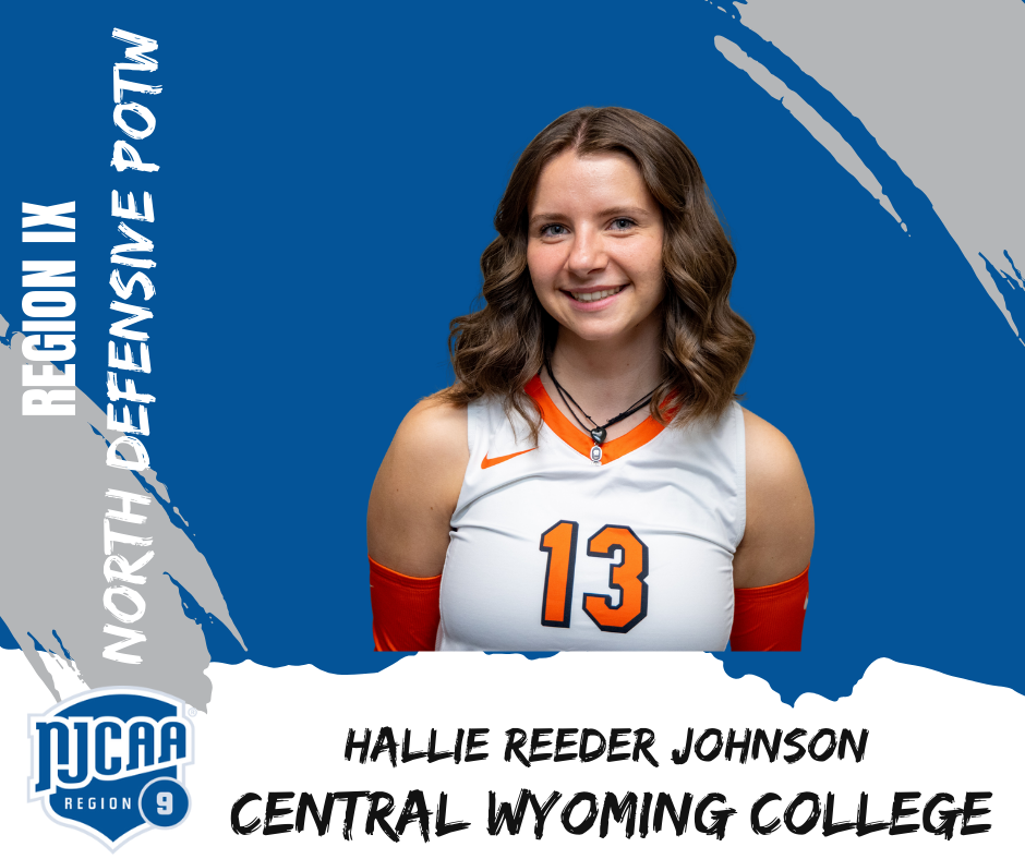 Hallie Johnson, Volleyball